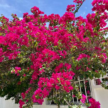 Les Villas Du Bambou - Villa Paprika Jusqu'A 6 Pers Le Gosier  Exterior foto